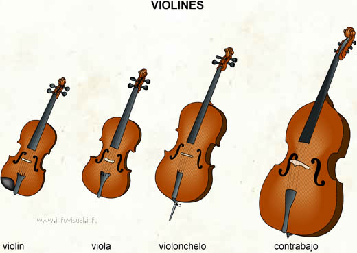 Violines (Diccionario visual)
